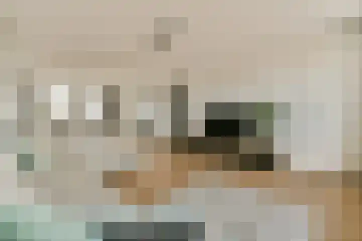 Einsteinstraat 24 Zandvoort thumbnail 7