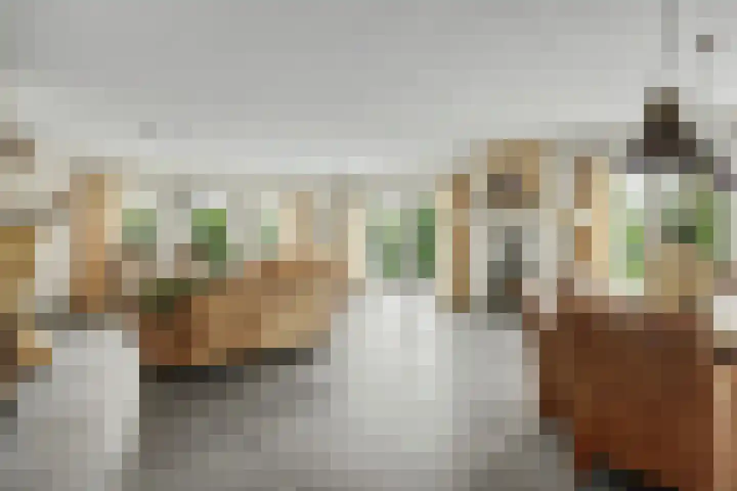 Einsteinstraat 31 Kruiningen thumbnail 15