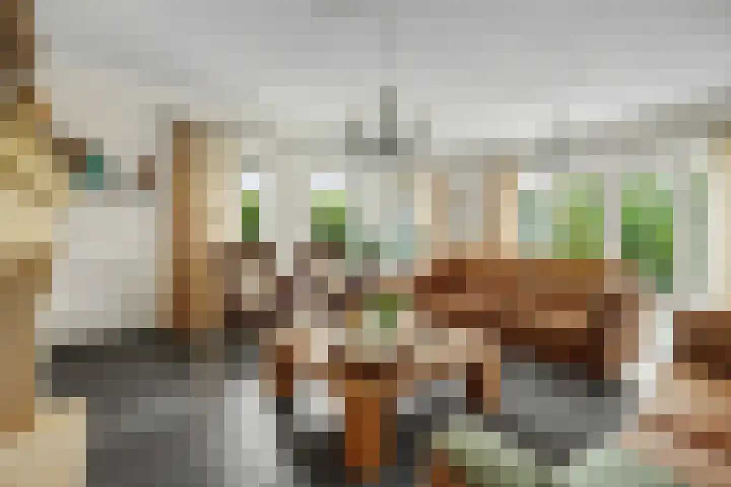 Einsteinstraat 31 Kruiningen thumbnail 17