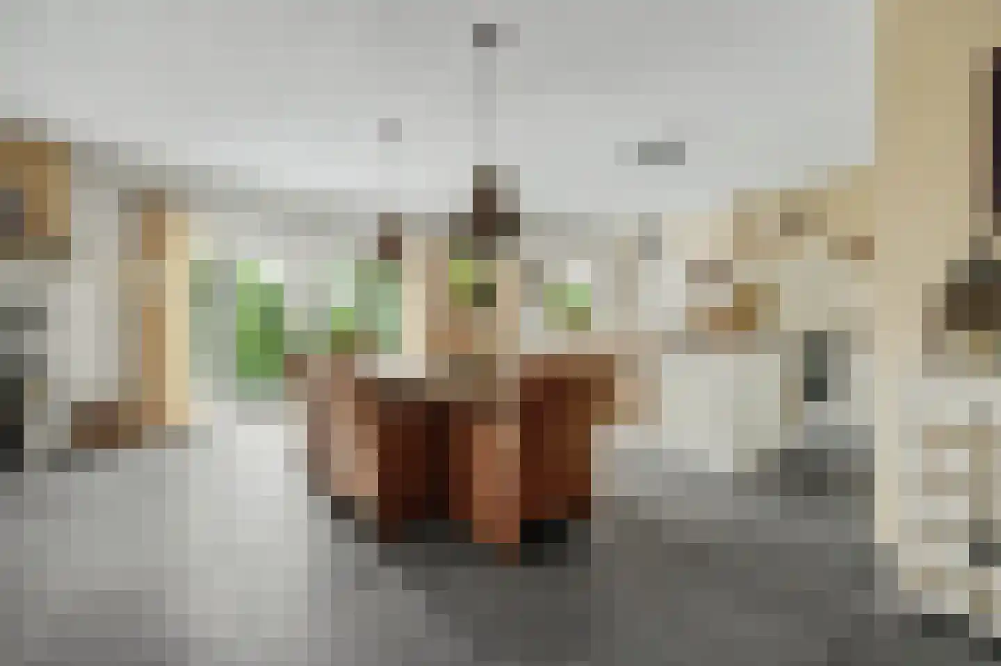 Einsteinstraat 31 Kruiningen thumbnail 18