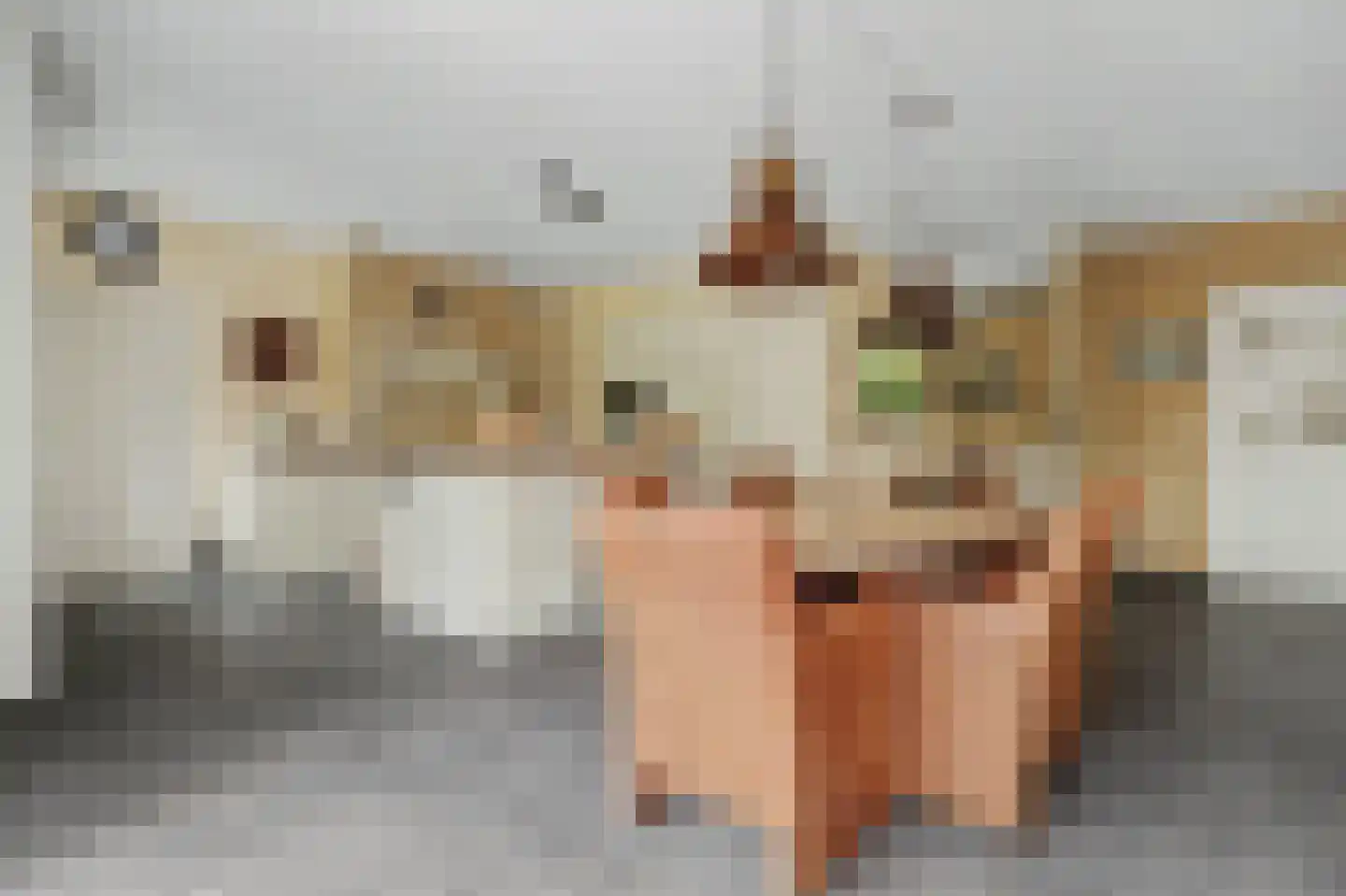 Einsteinstraat 31 Kruiningen thumbnail 20