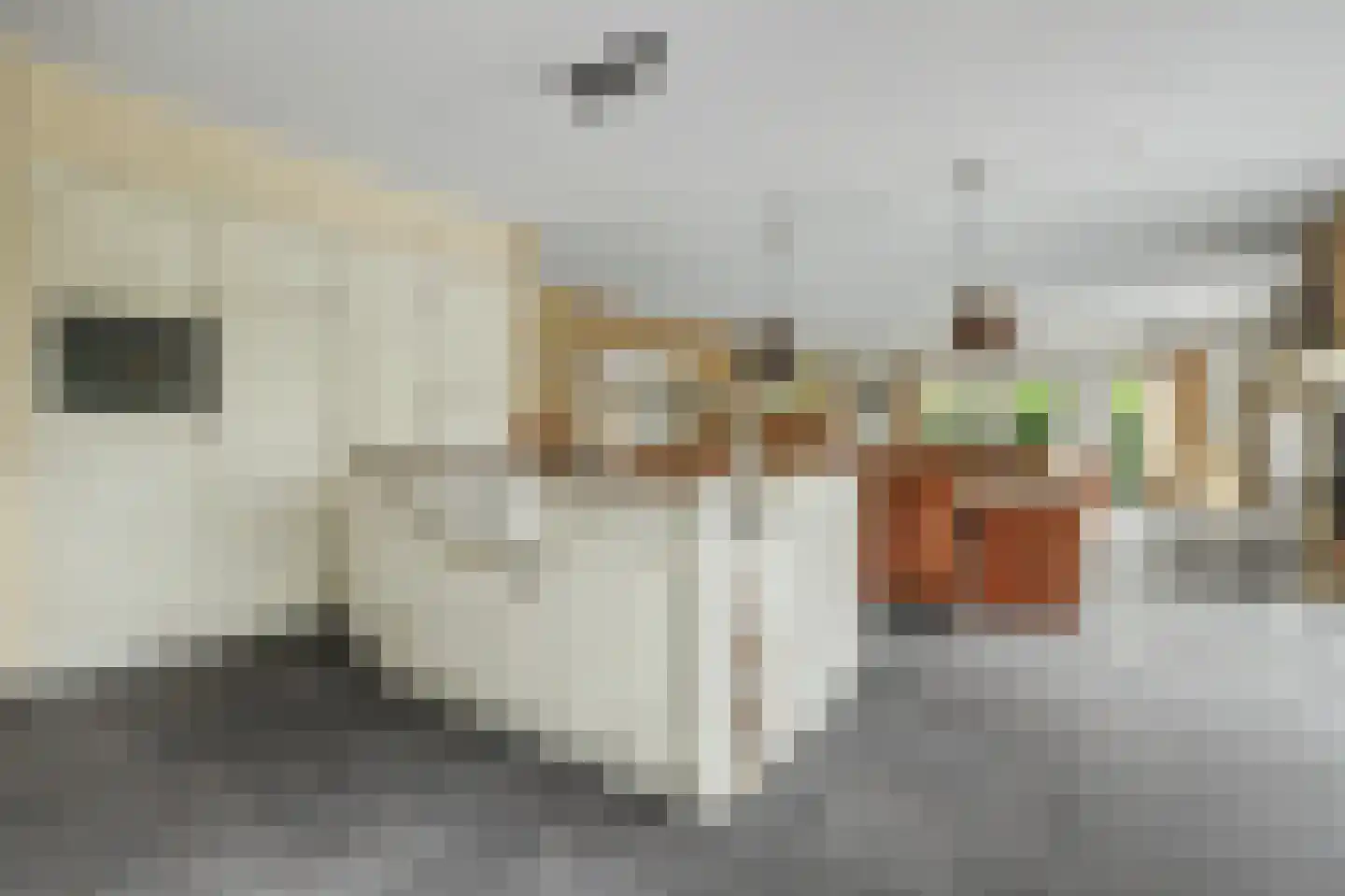 Einsteinstraat 31 Kruiningen thumbnail 23