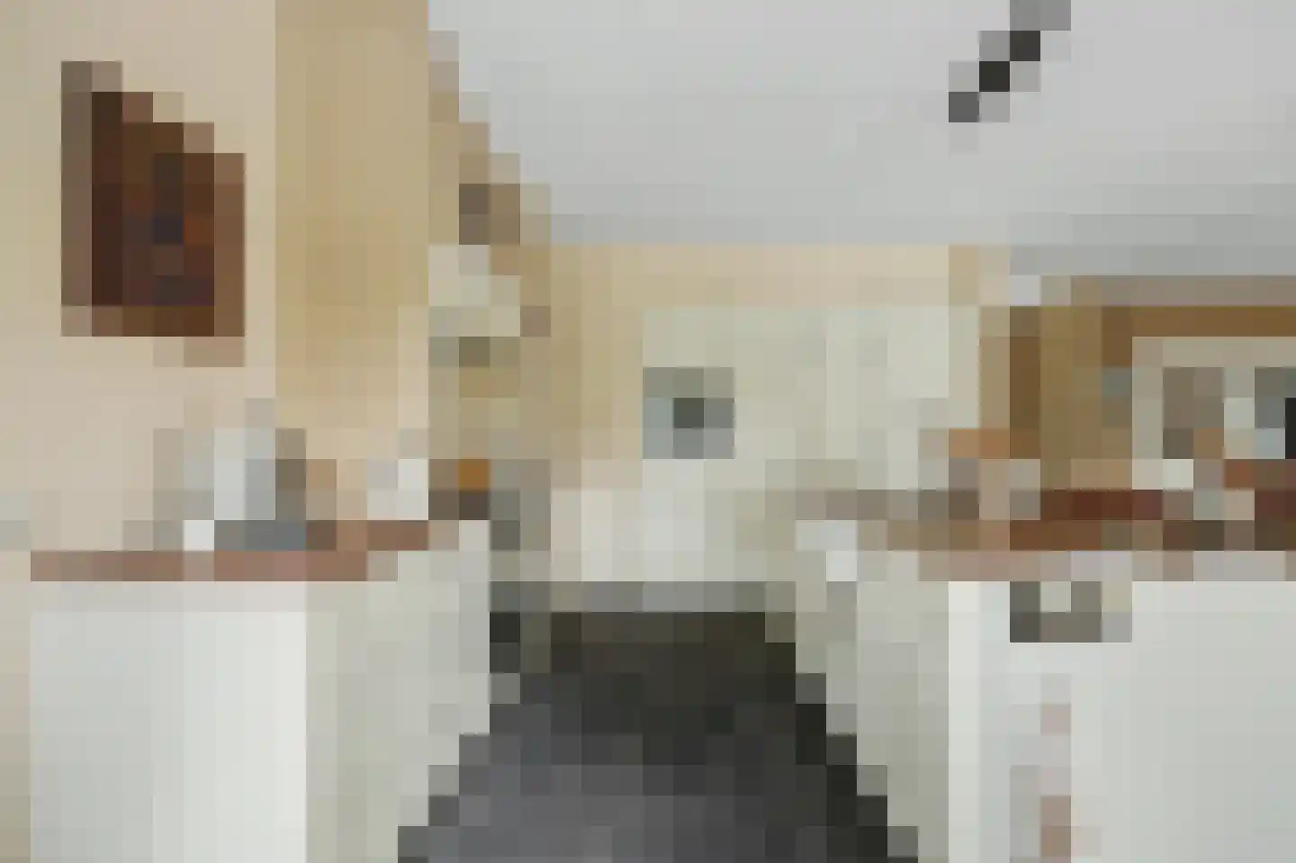 Einsteinstraat 31 Kruiningen thumbnail 24