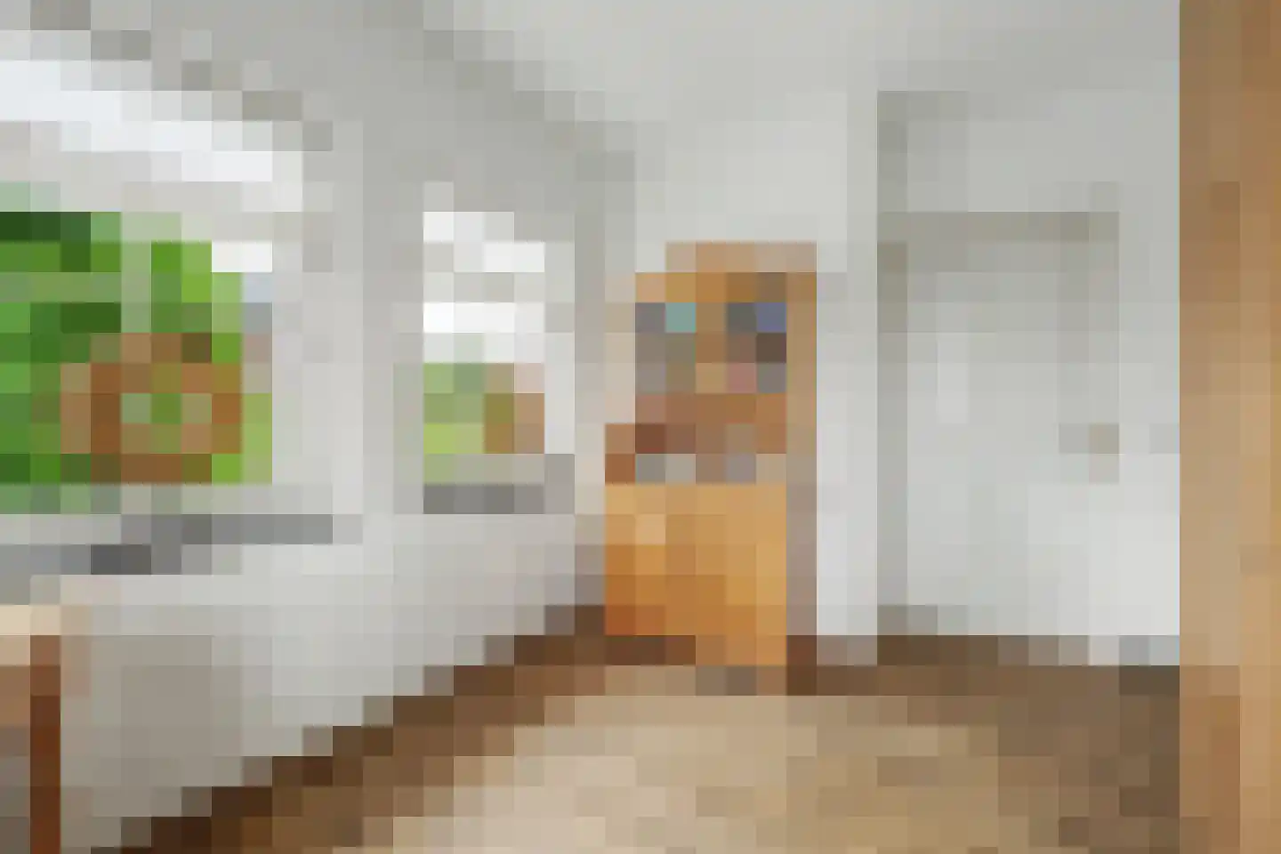 Einsteinstraat 31 Kruiningen thumbnail 34