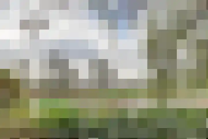 Einsteinstraat 31 Kruiningen thumbnail 39