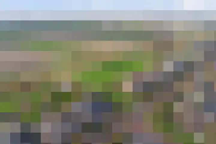 Einsteinstraat 31 Kruiningen thumbnail 43