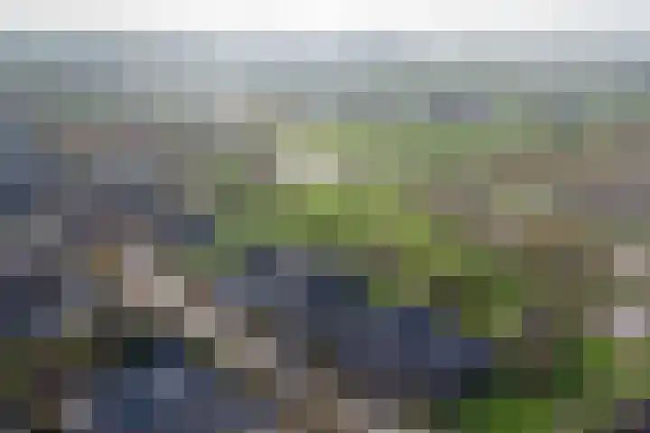 Einsteinstraat 31 Kruiningen thumbnail 44