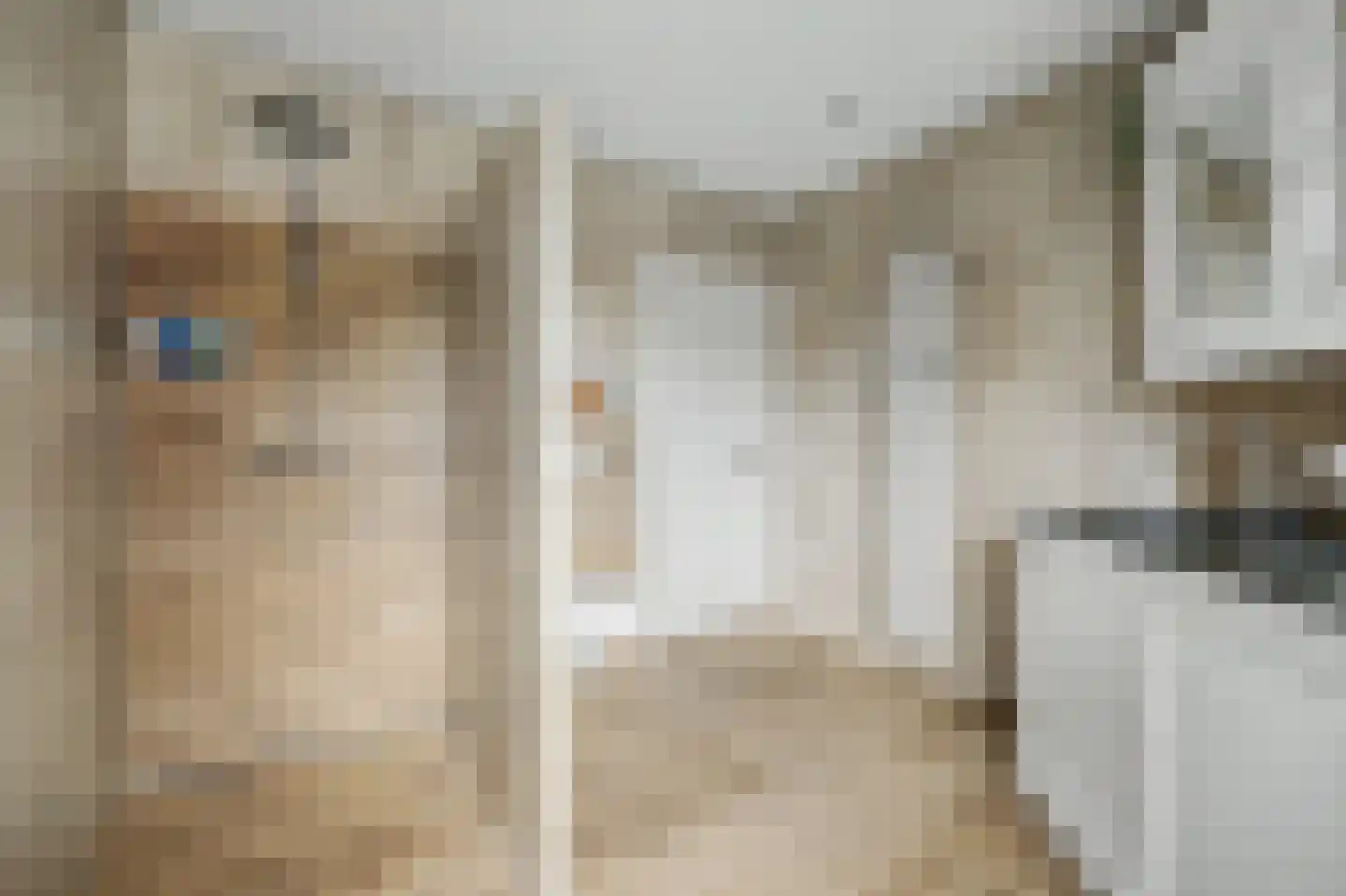 Einsteinstraat 31 Kruiningen thumbnail 45