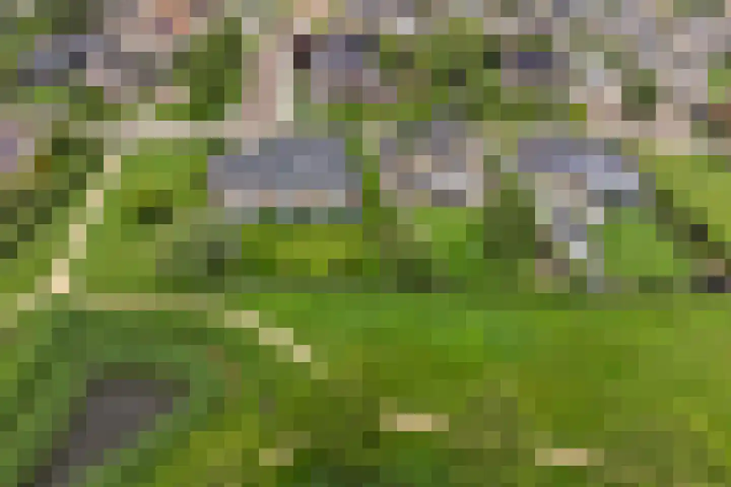 Einsteinstraat 31 Kruiningen thumbnail 63