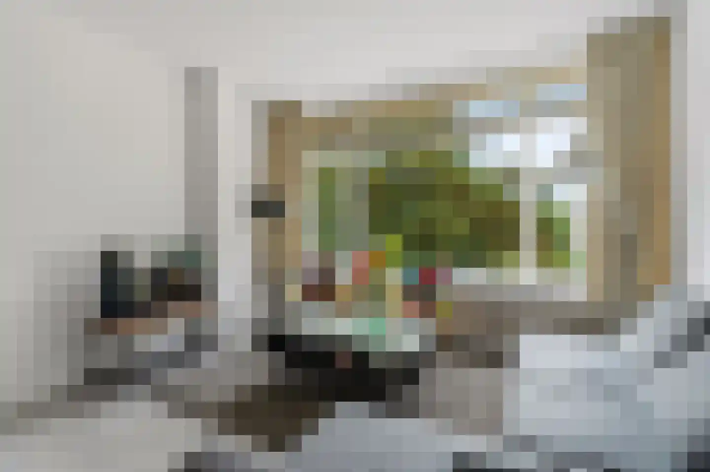 Einsteinstraat 33 Nijmegen thumbnail 13