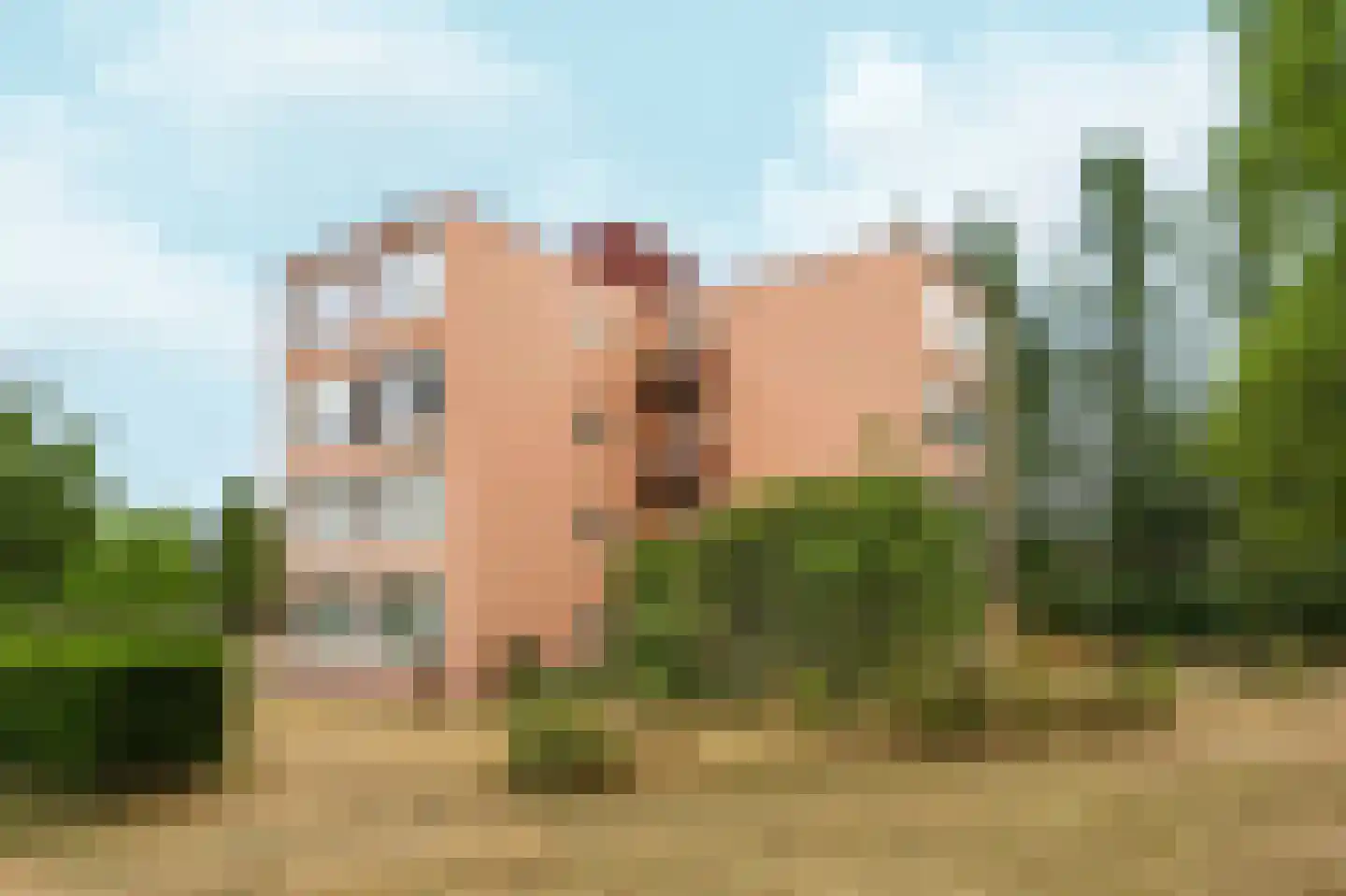 Einsteinstraat 33 Nijmegen thumbnail 7