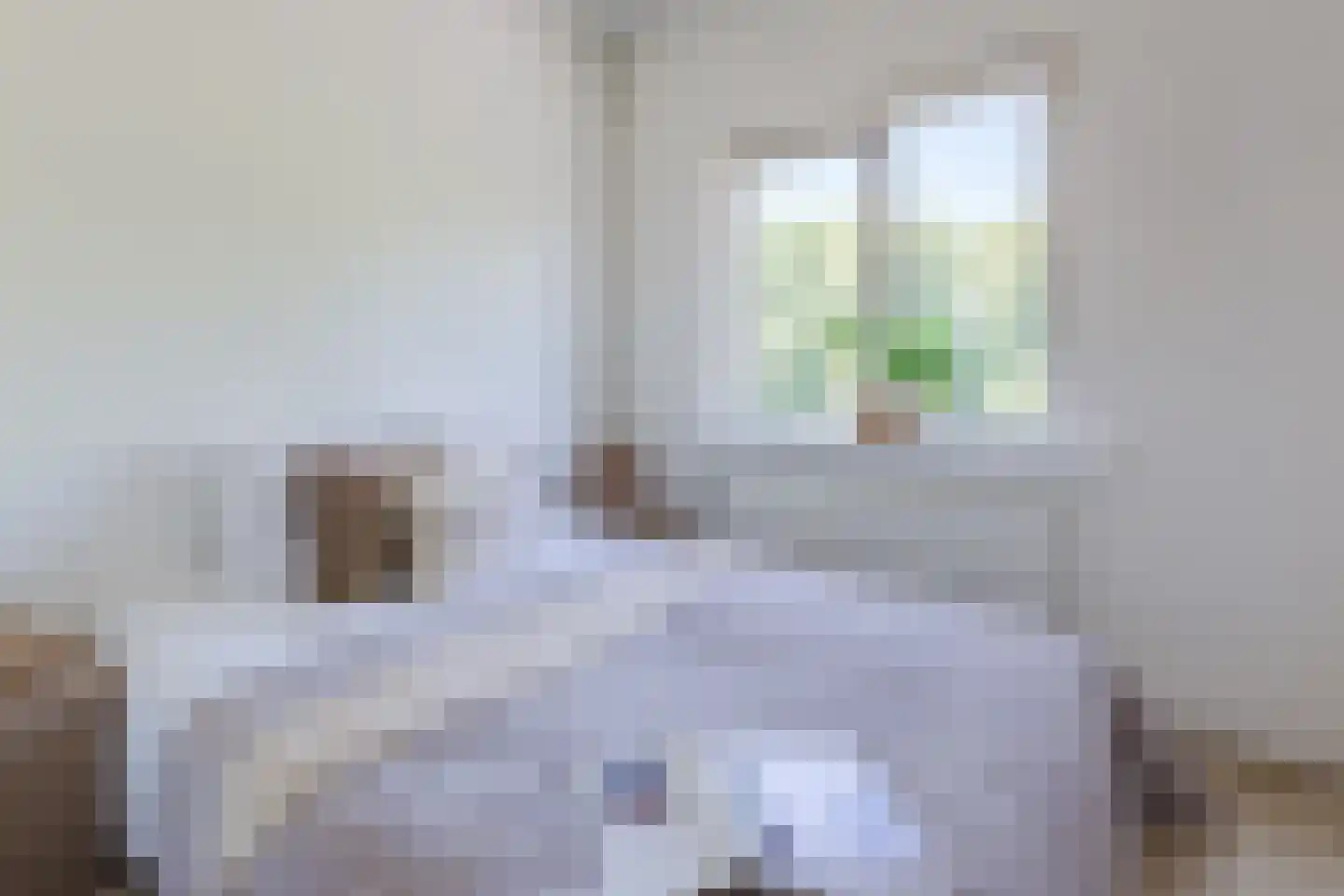 Einsteinstraat 34 II Haarlem thumbnail 27