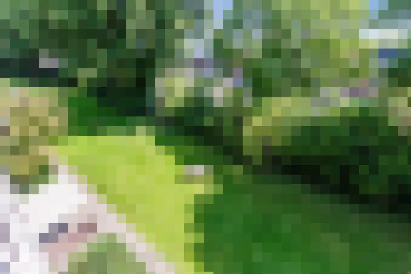 Einsteinstraat 34 II Haarlem thumbnail 35