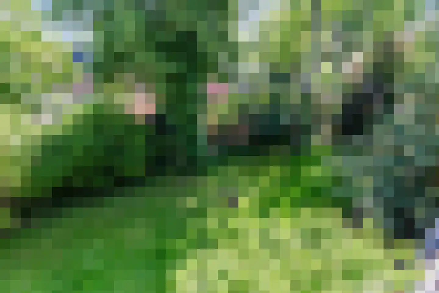 Einsteinstraat 34 II Haarlem thumbnail 36