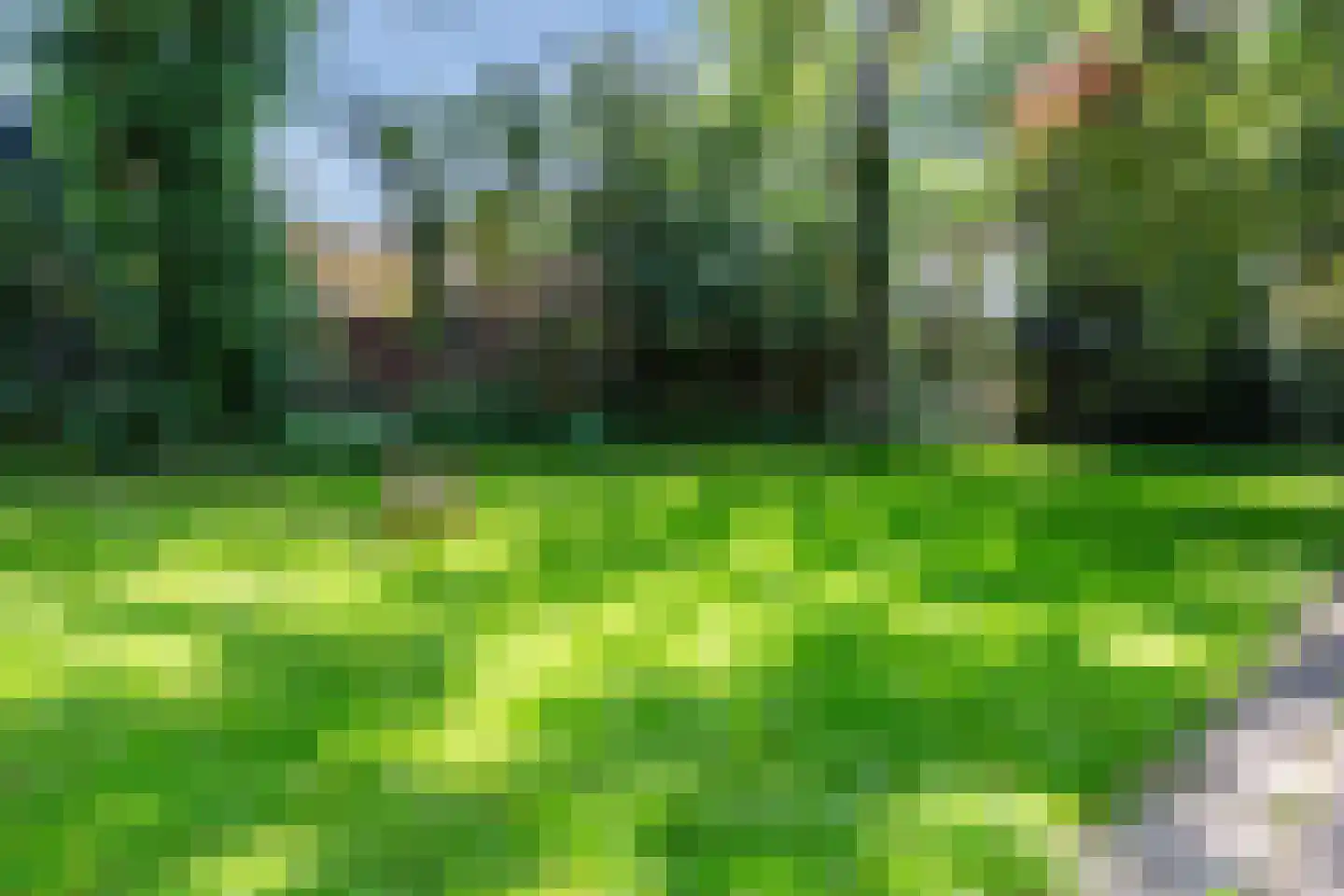 Einsteinstraat 34 II Haarlem thumbnail 41