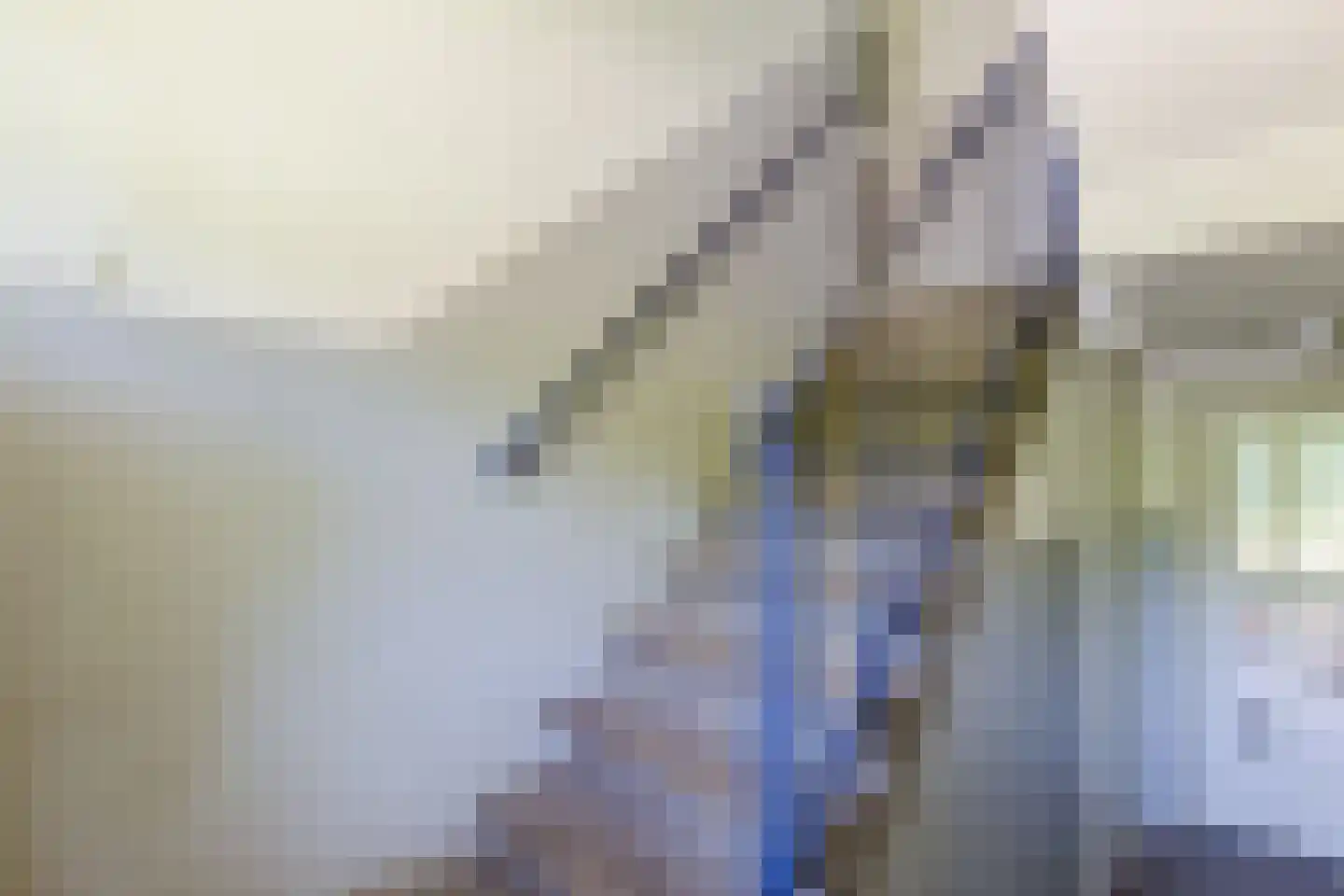Einsteinstraat 34 II Haarlem thumbnail 8