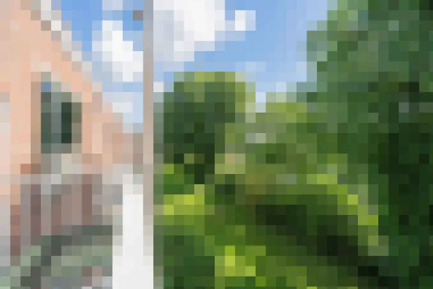 Einsteinstraat 36 II Haarlem thumbnail 33