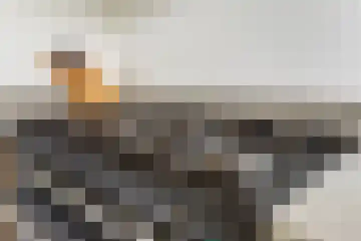 Einsteinstraat 38 Nijmegen thumbnail 18
