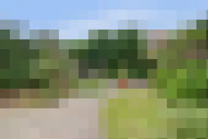 Einsteinstraat 38 Nijmegen thumbnail 45