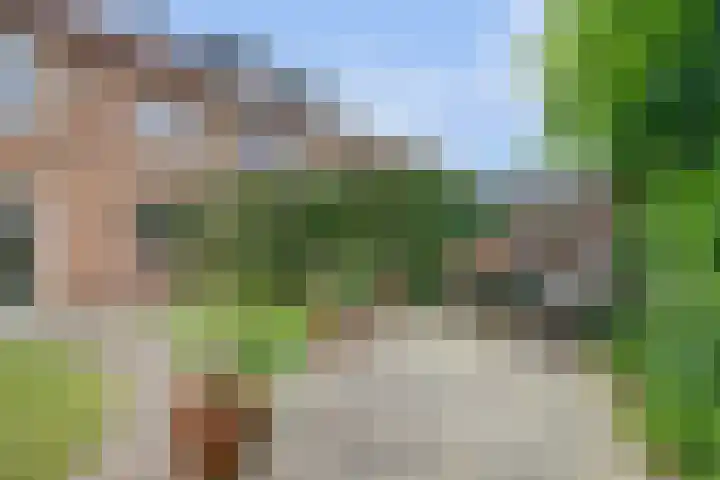 Einsteinstraat 38 Nijmegen thumbnail 47