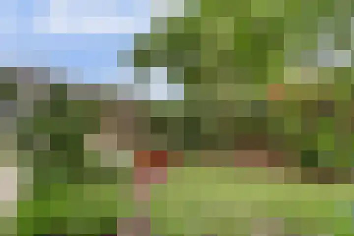 Einsteinstraat 38 Nijmegen thumbnail 52