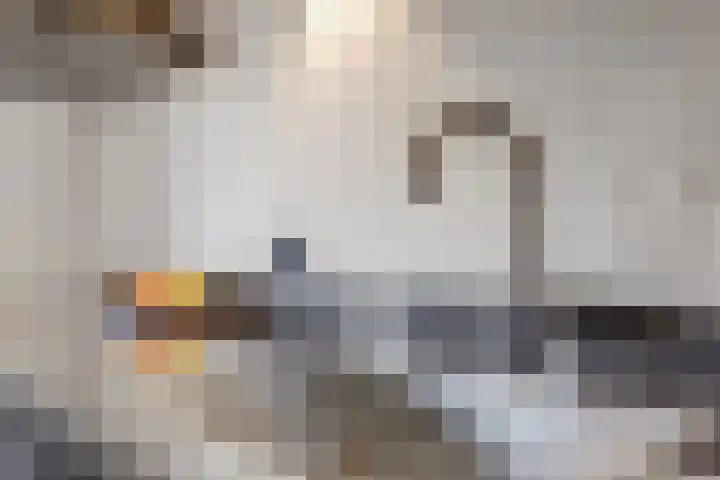 Einsteinstraat 4 Kruiningen thumbnail 14