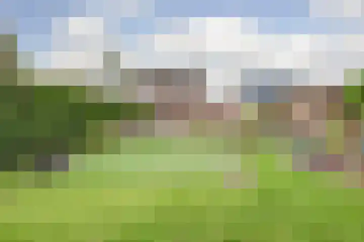 Einsteinstraat 4 Kruiningen foto 2