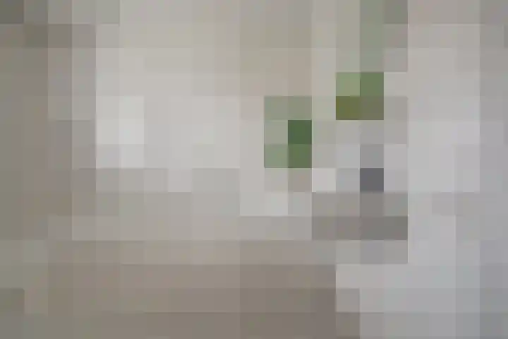 Einsteinstraat 4 Kruiningen thumbnail 22