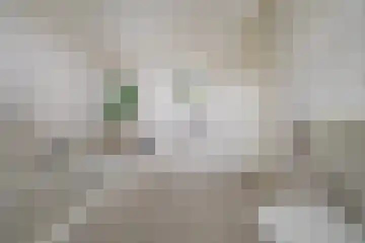 Einsteinstraat 4 Kruiningen thumbnail 23