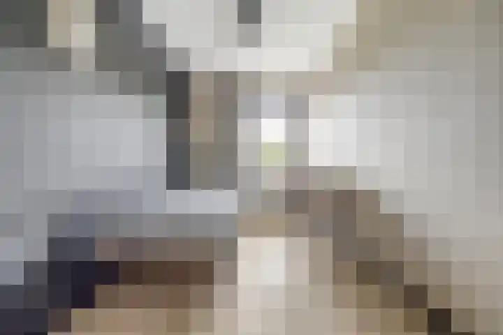 Einsteinstraat 4 Kruiningen thumbnail 29