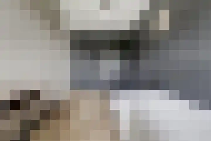 Einsteinstraat 4 Kruiningen thumbnail 30