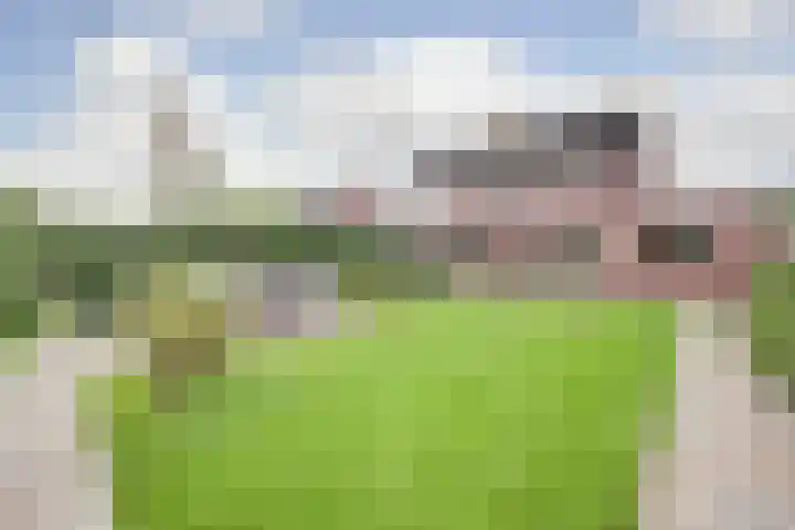 Einsteinstraat 4 Kruiningen thumbnail 41