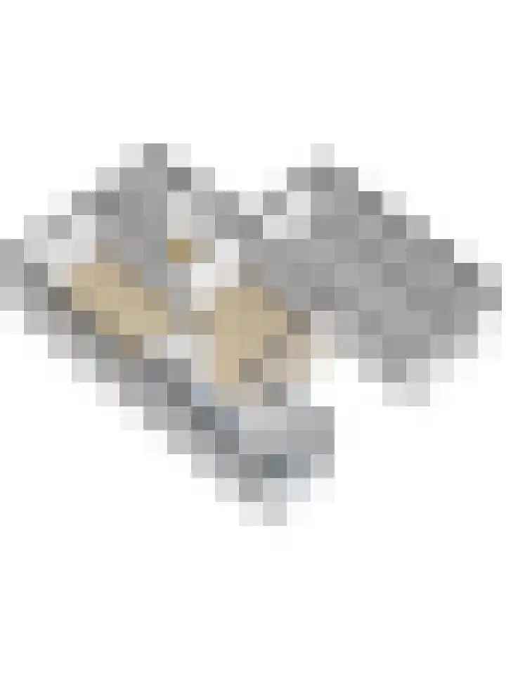 Einsteinstraat 4 Kruiningen thumbnail 53