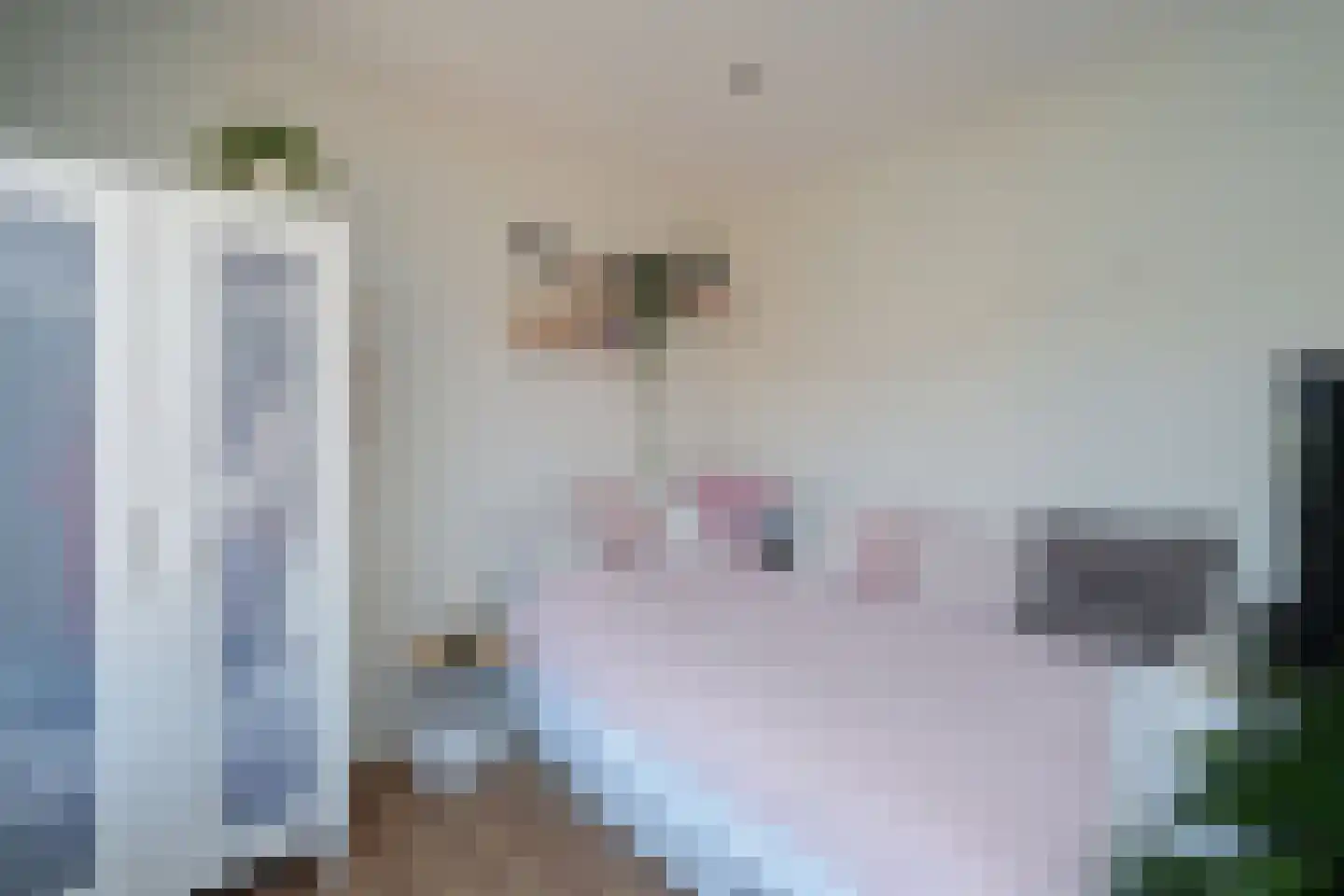 Einsteinstraat 40 Nijmegen thumbnail 23