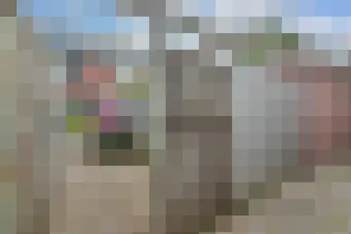 Einsteinstraat 5 Kudelstaart thumbnail 33