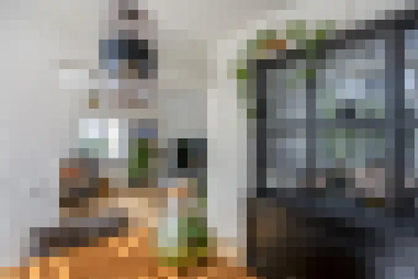 Einsteinstraat 61 Nijmegen thumbnail 8