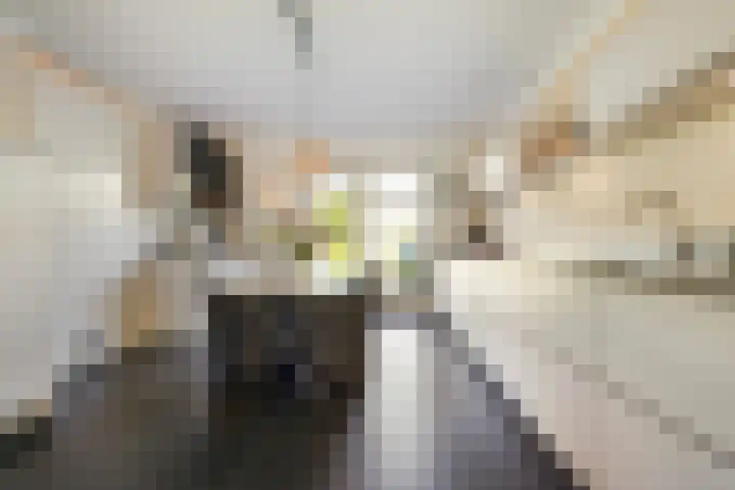 Einsteinstraat 63 Boxtel thumbnail 19