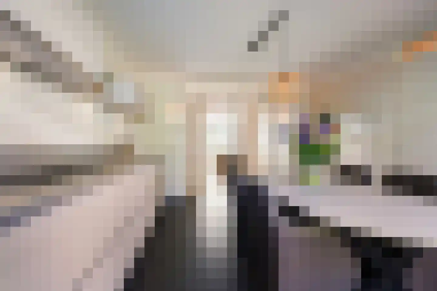 Einsteinstraat 63 Boxtel thumbnail 23