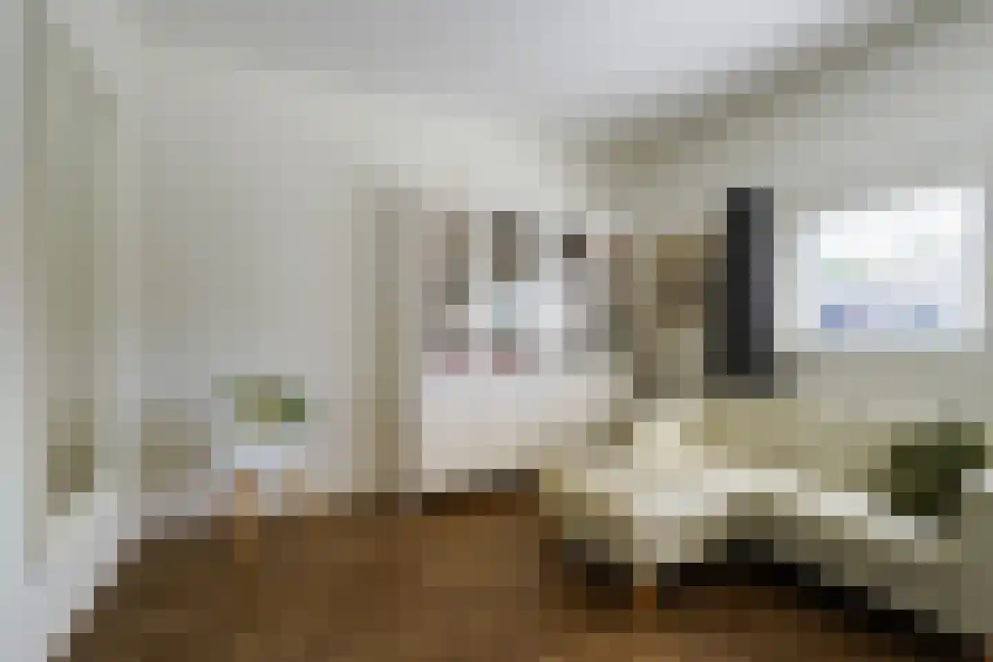 Einsteinstraat 63 Boxtel thumbnail 34