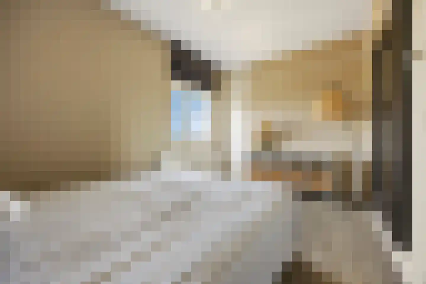 Einsteinstraat 71 Nijmegen thumbnail 18