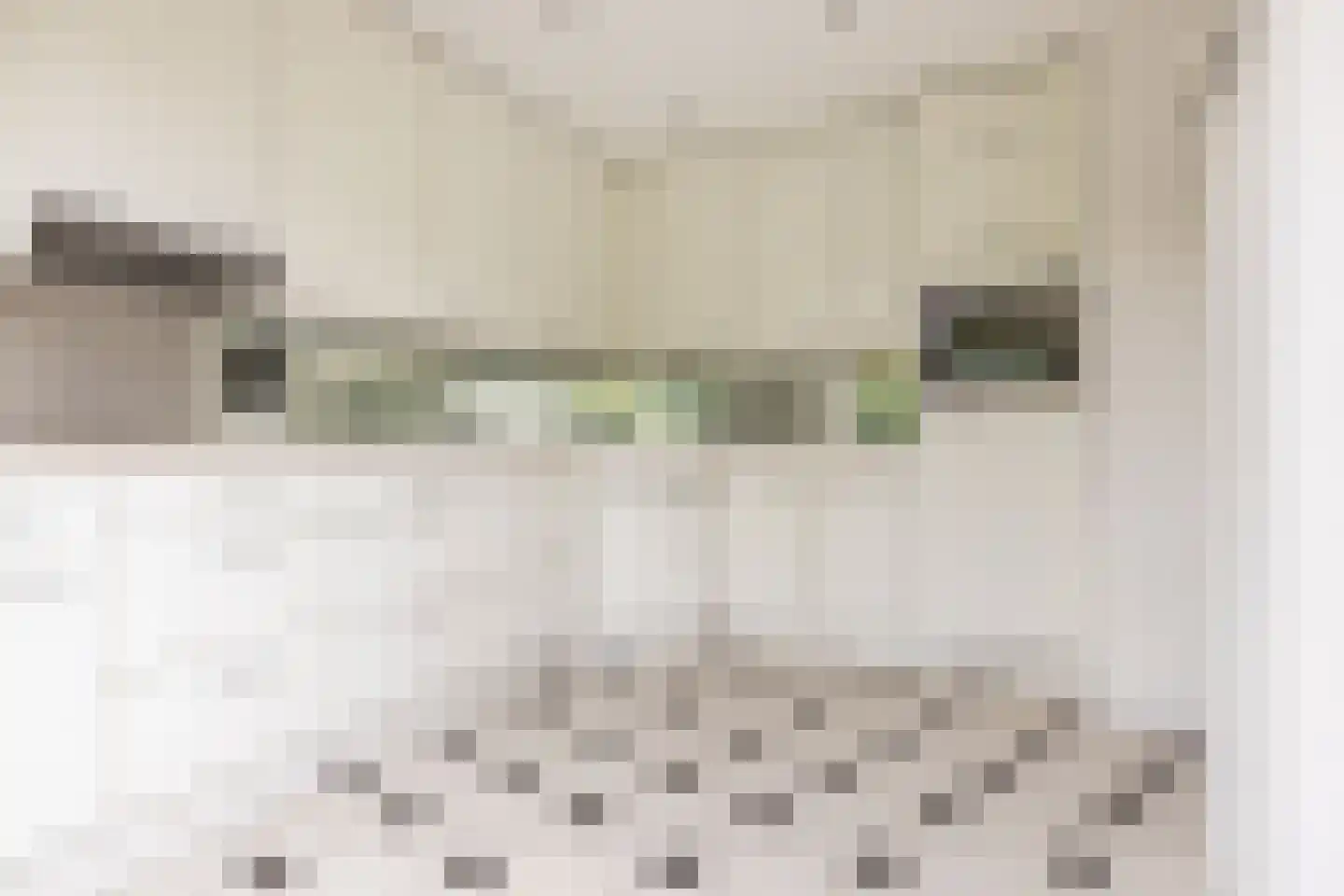 Einthovenlaan 19 Heemstede thumbnail 19