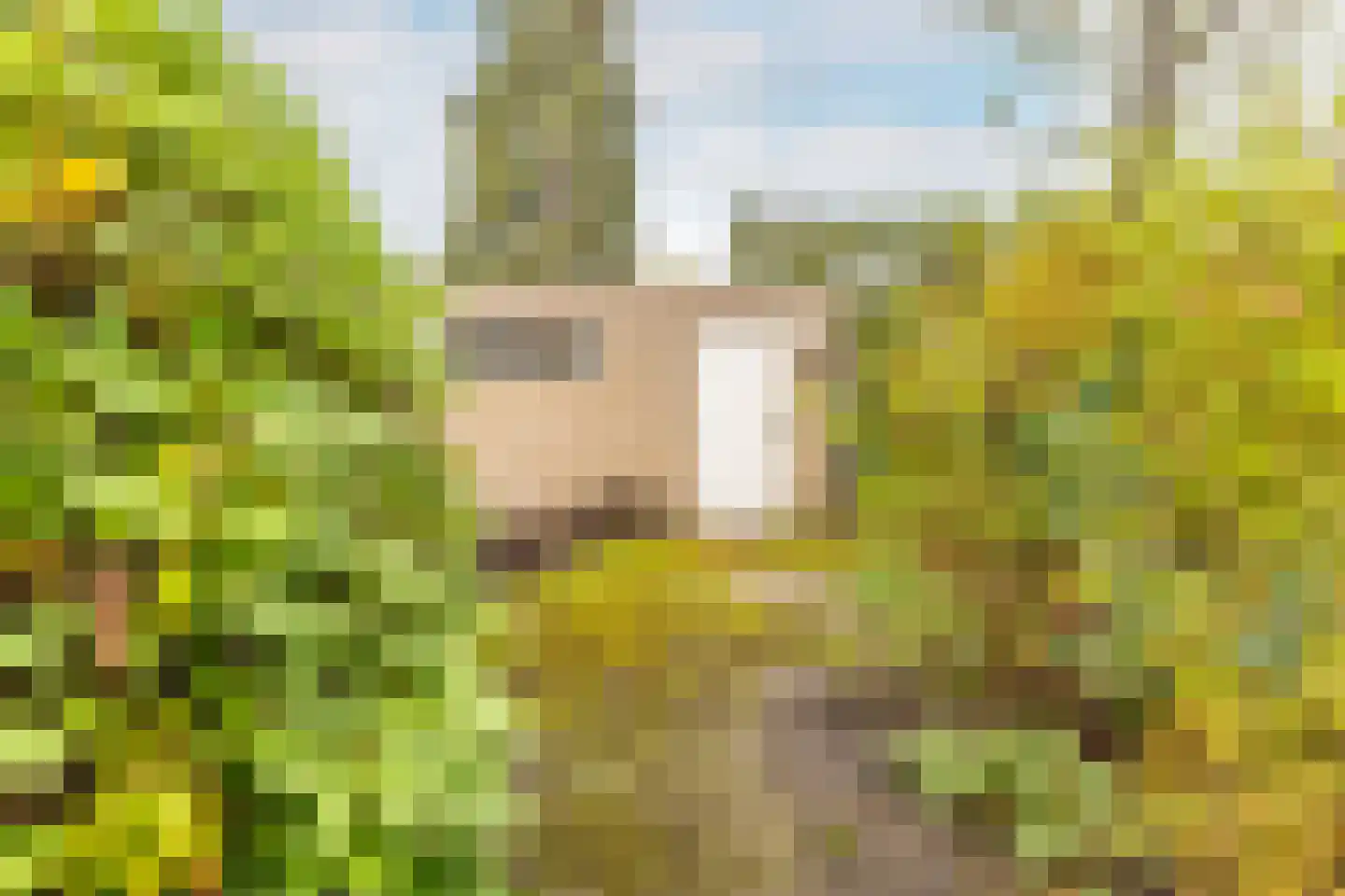 Einthovenlaan 19 Heemstede thumbnail 23