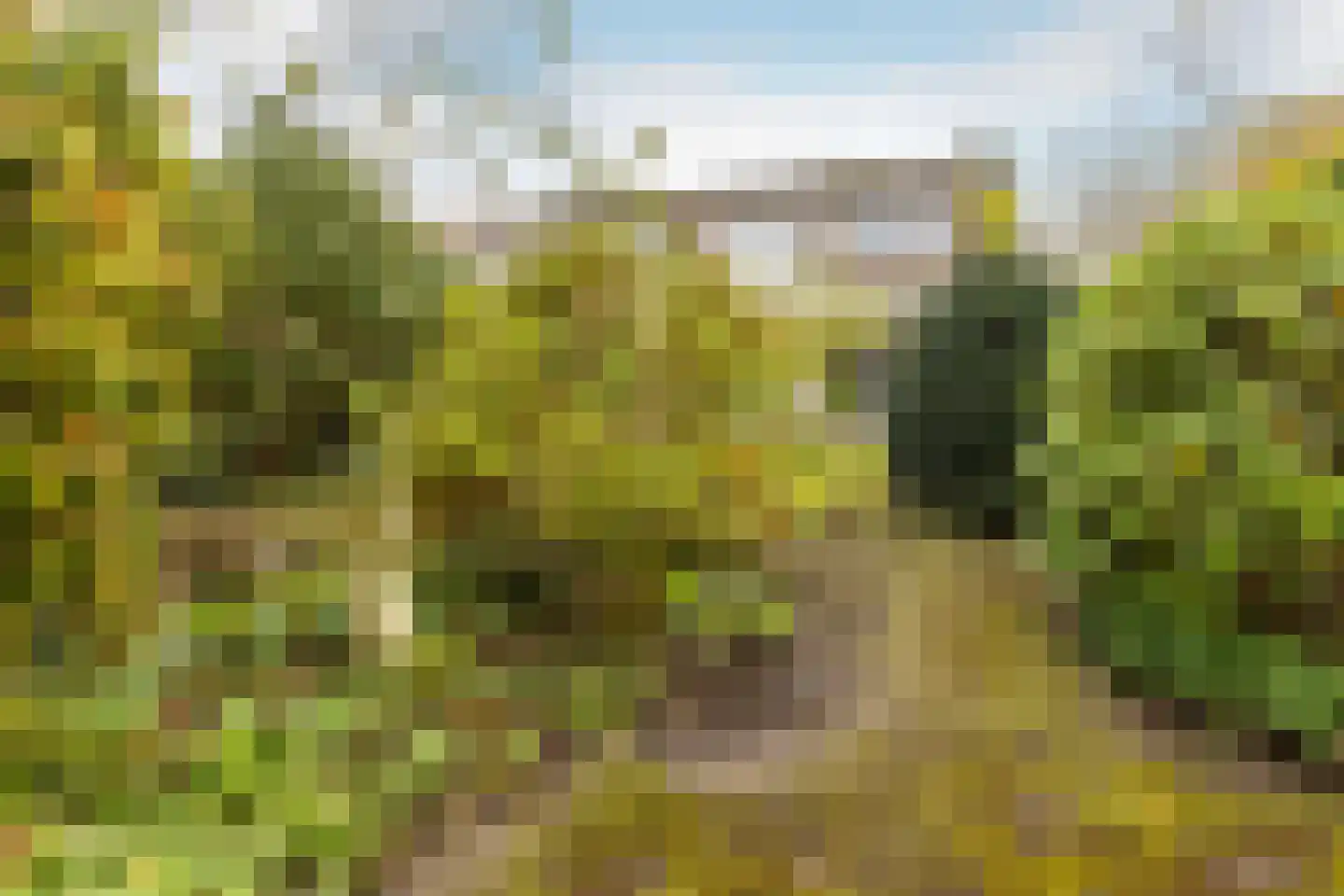 Einthovenlaan 19 Heemstede thumbnail 24