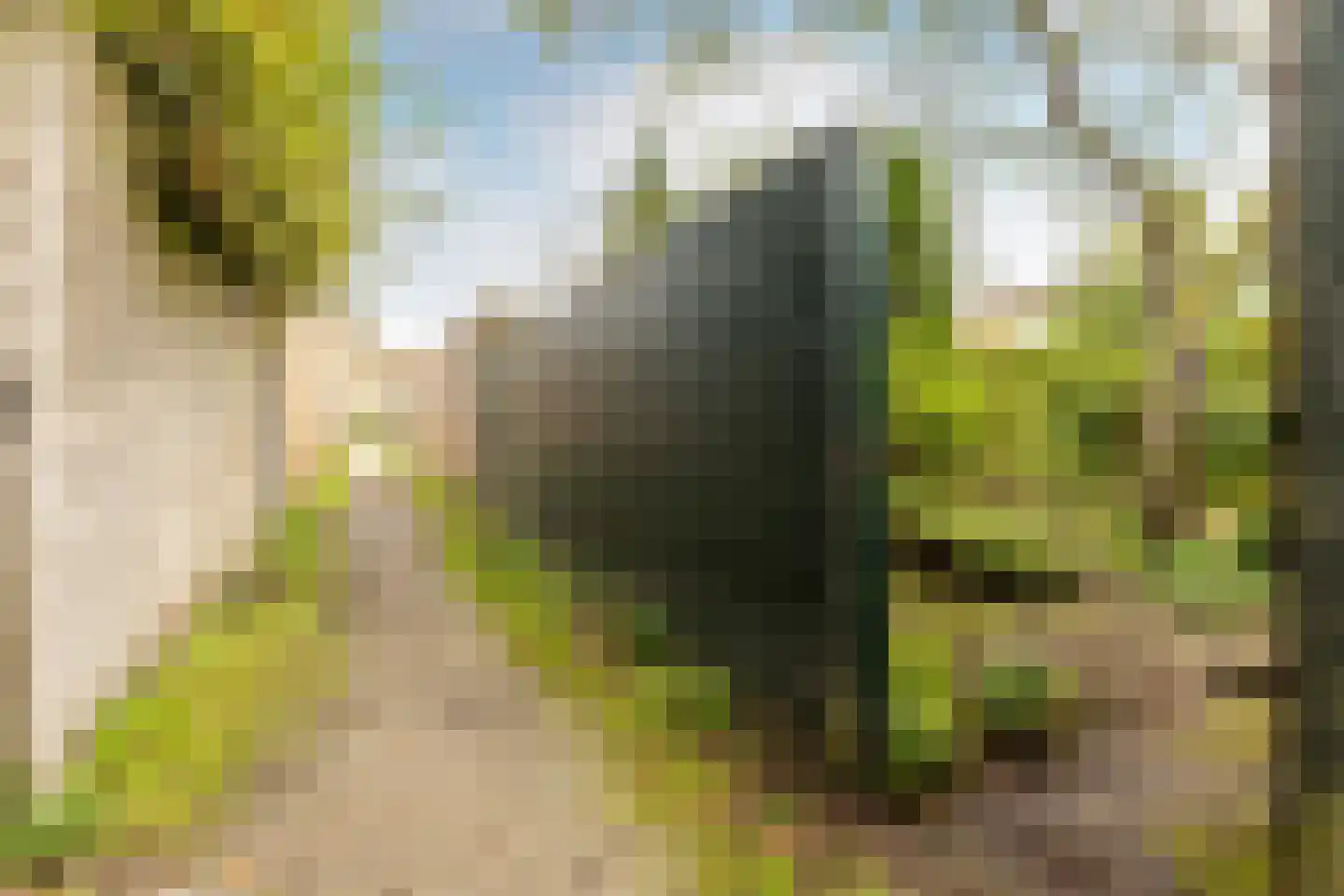 Einthovenlaan 19 Heemstede thumbnail 25