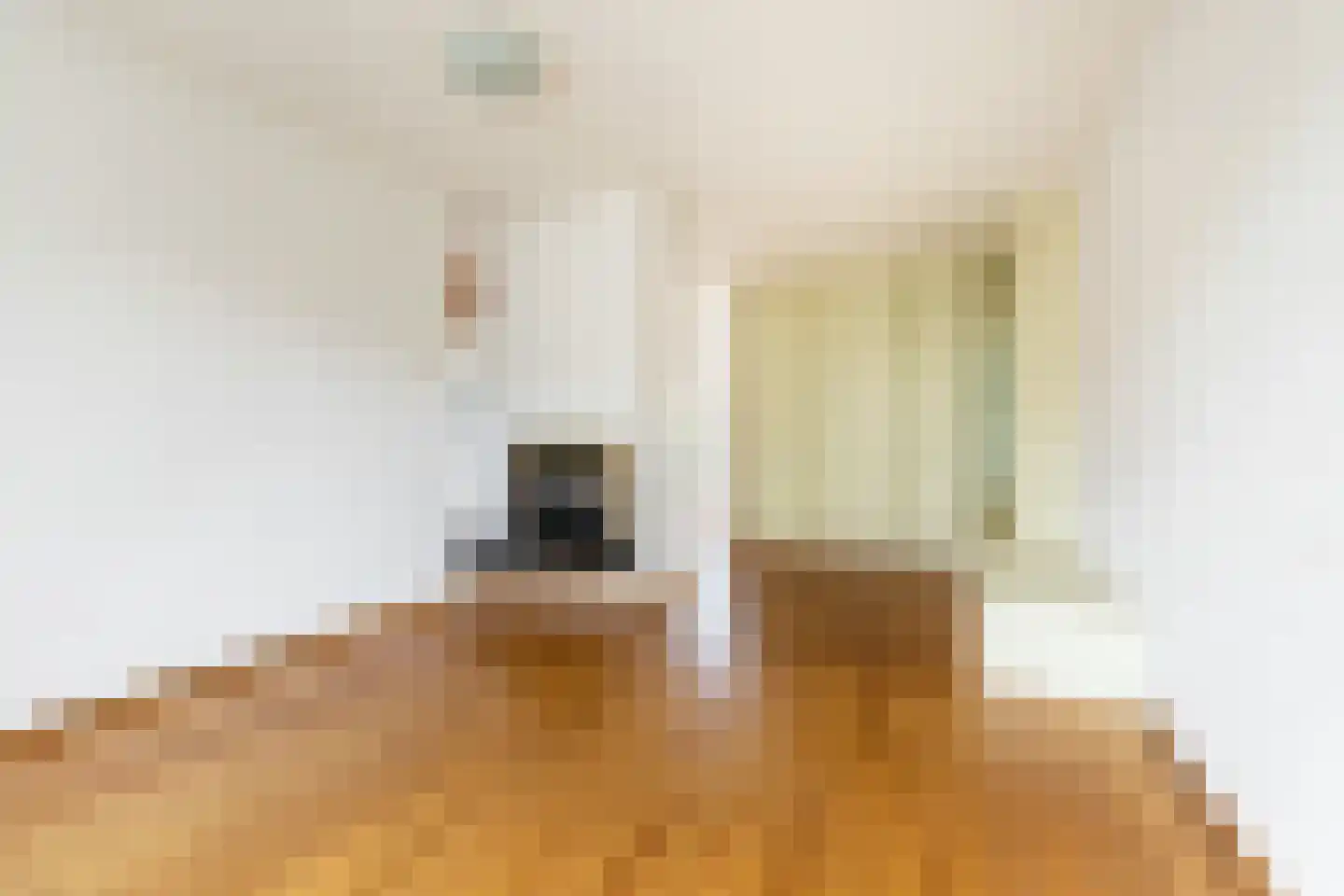 Einthovenlaan 19 Heemstede thumbnail 5