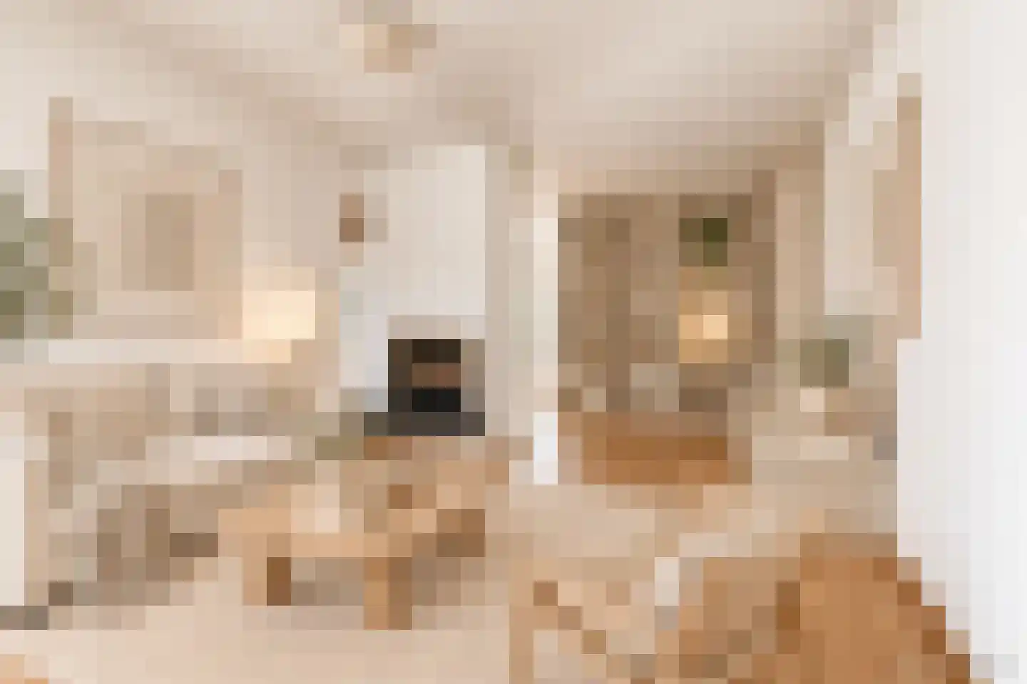 Einthovenlaan 19 Heemstede thumbnail 6