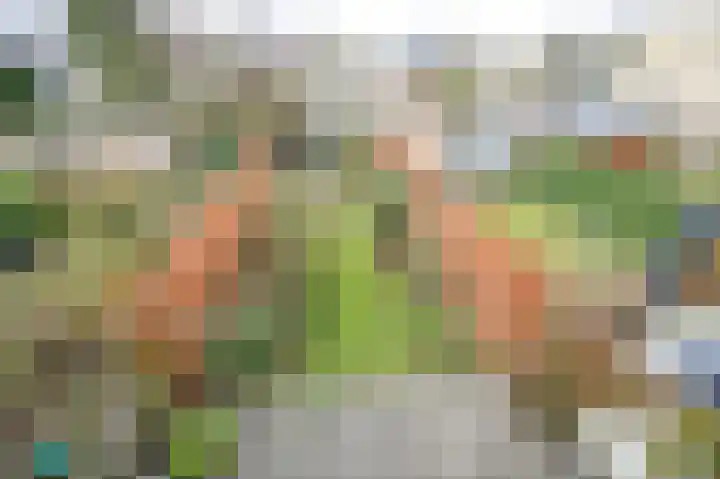 Einthovenlaan 21 Heemstede thumbnail 31