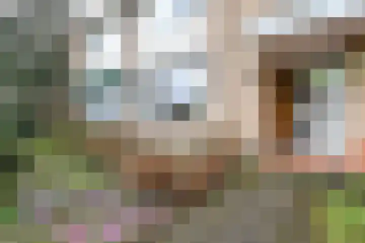 Einthovenlaan 21 Heemstede thumbnail 4