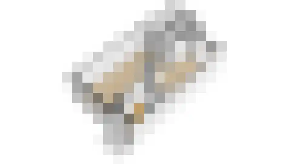 Einthovenlaan 21 Heemstede thumbnail 44