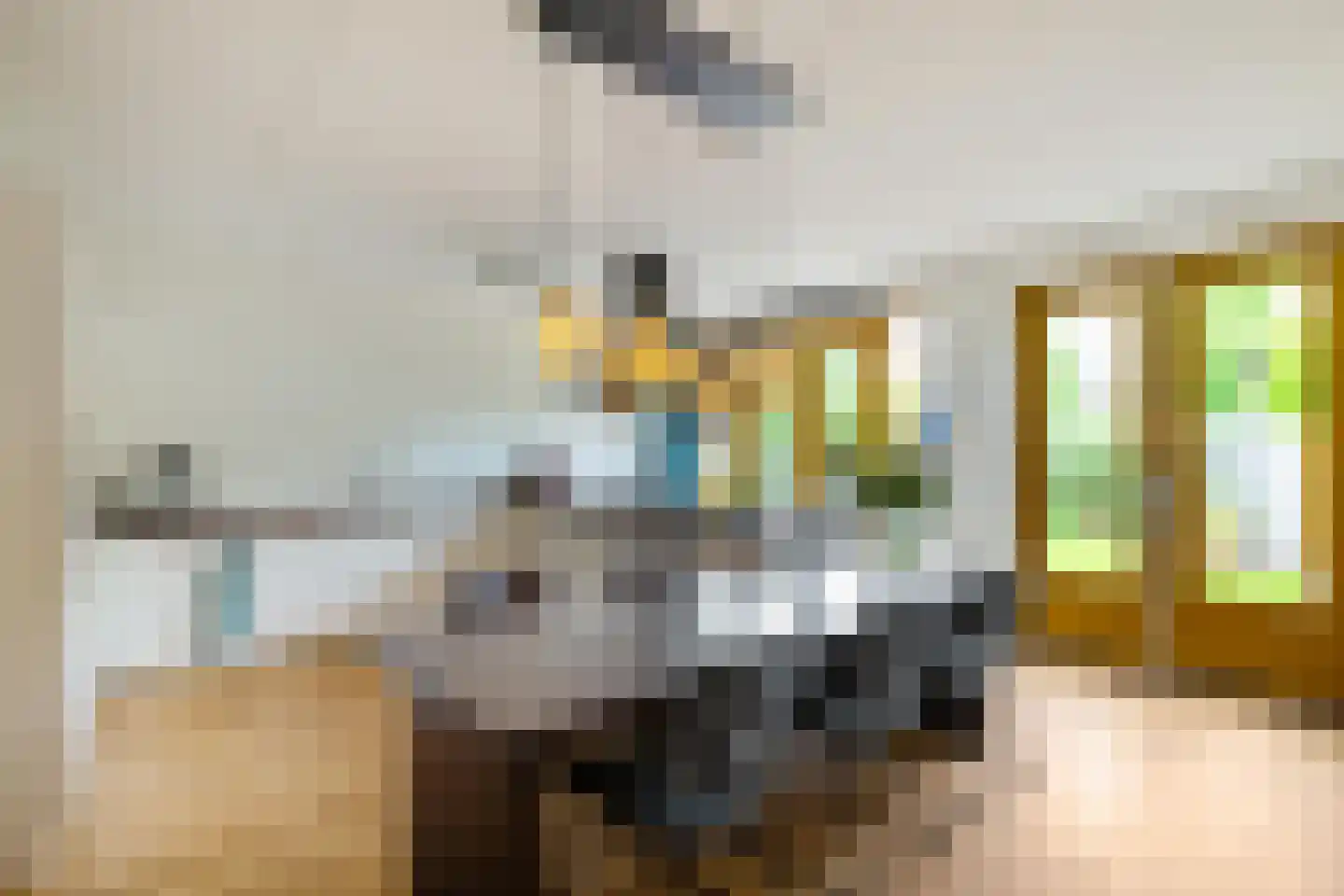 Einthovenlaan 3 Groningen thumbnail 22